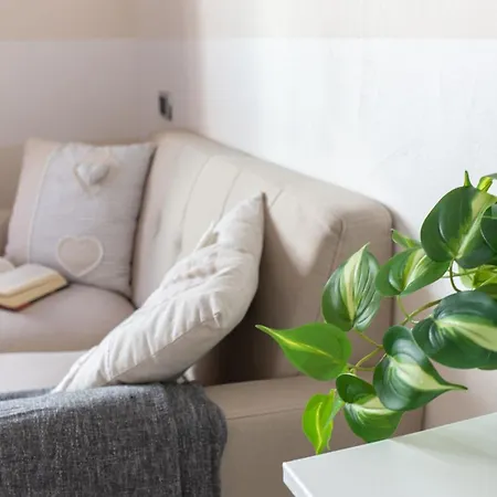 Smart - Vm - Adults Only Apartment Palau